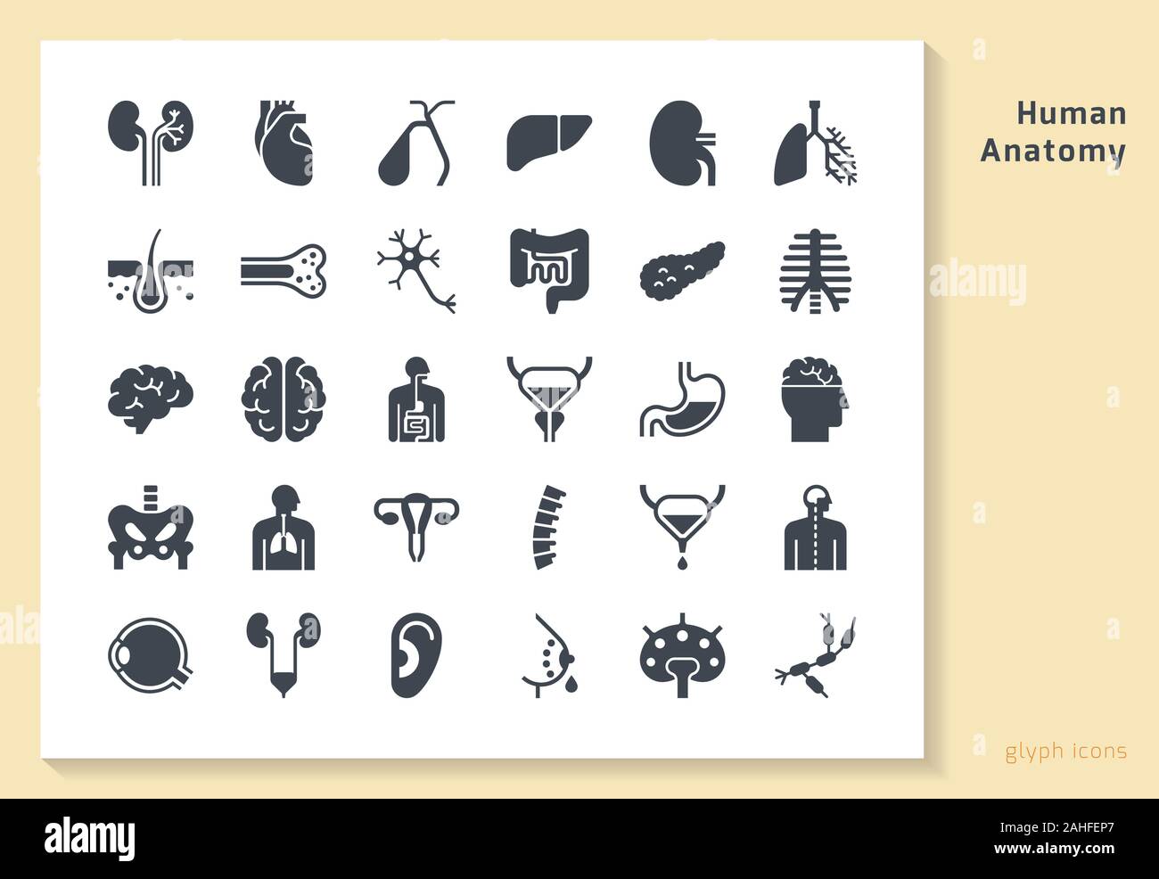 Set of vector icons of internal human organs in a linear style isolated ...