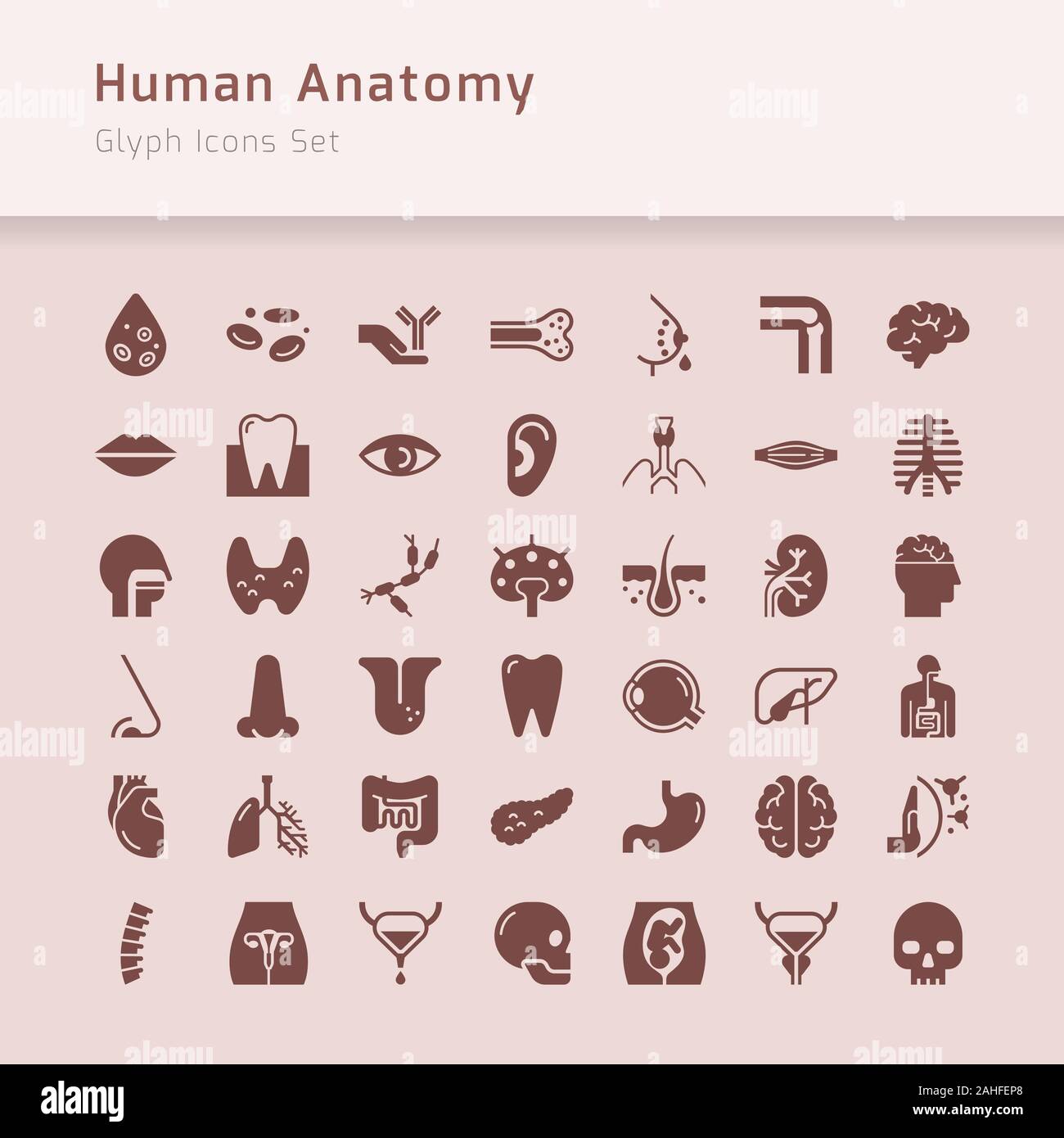 Set of vector icons of internal human organs in a linear style isolated ...