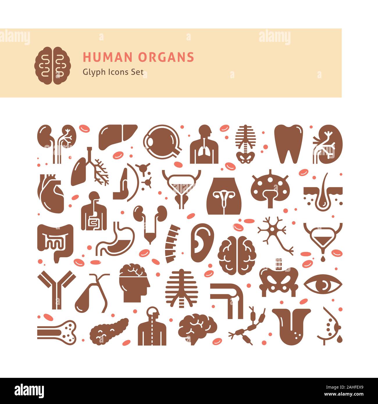 Set of vector icons of internal human organs in a linear style isolated ...