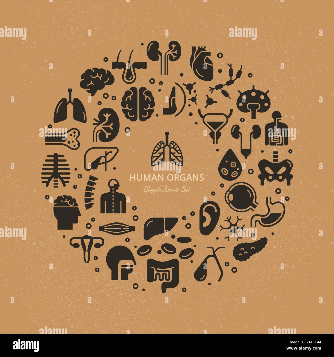 Circular template of linear vector icons of human organs and skeleton ...