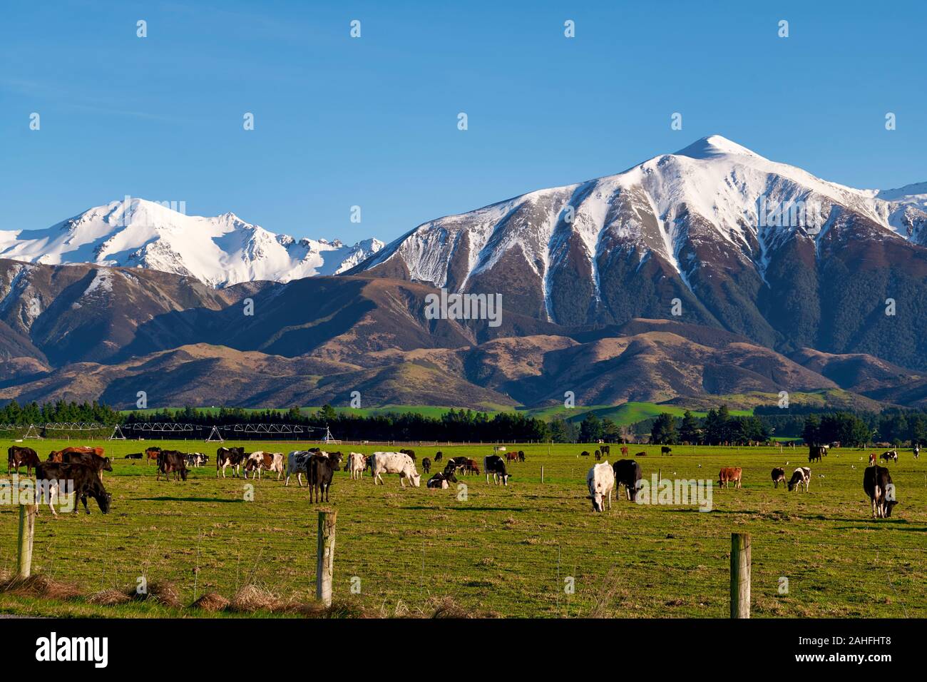 South Island New Zealand. The Alps Stock Photo