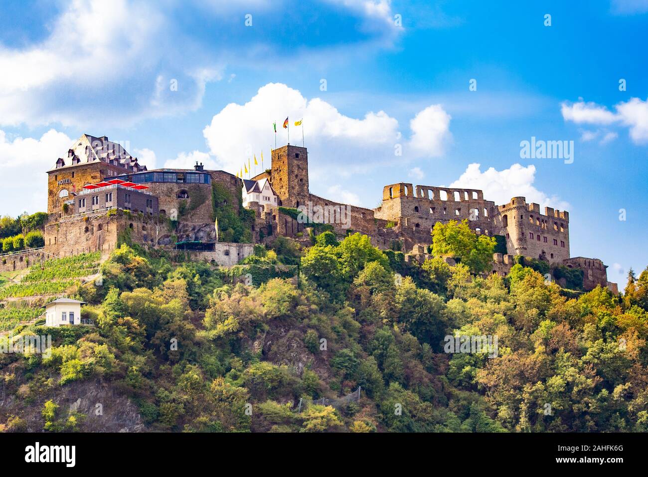 Rheinsfels castle hi-res stock photography and images - Alamy