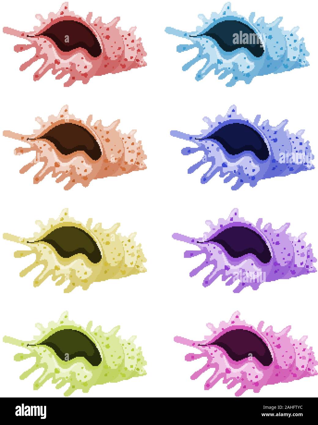 Set of seashells in different colors illustration Stock Vector Image ...