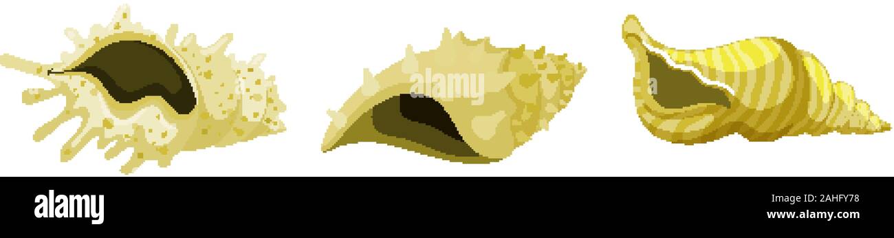 Set of isolated seashells in yellow color illustration Stock Vector ...