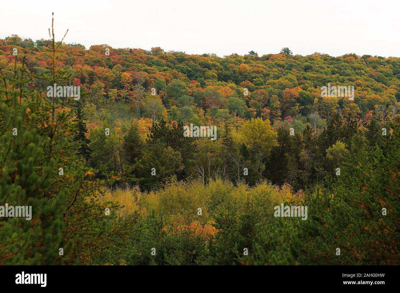 Autumn scenery landscape showing colorful nature scene. Stock Photo