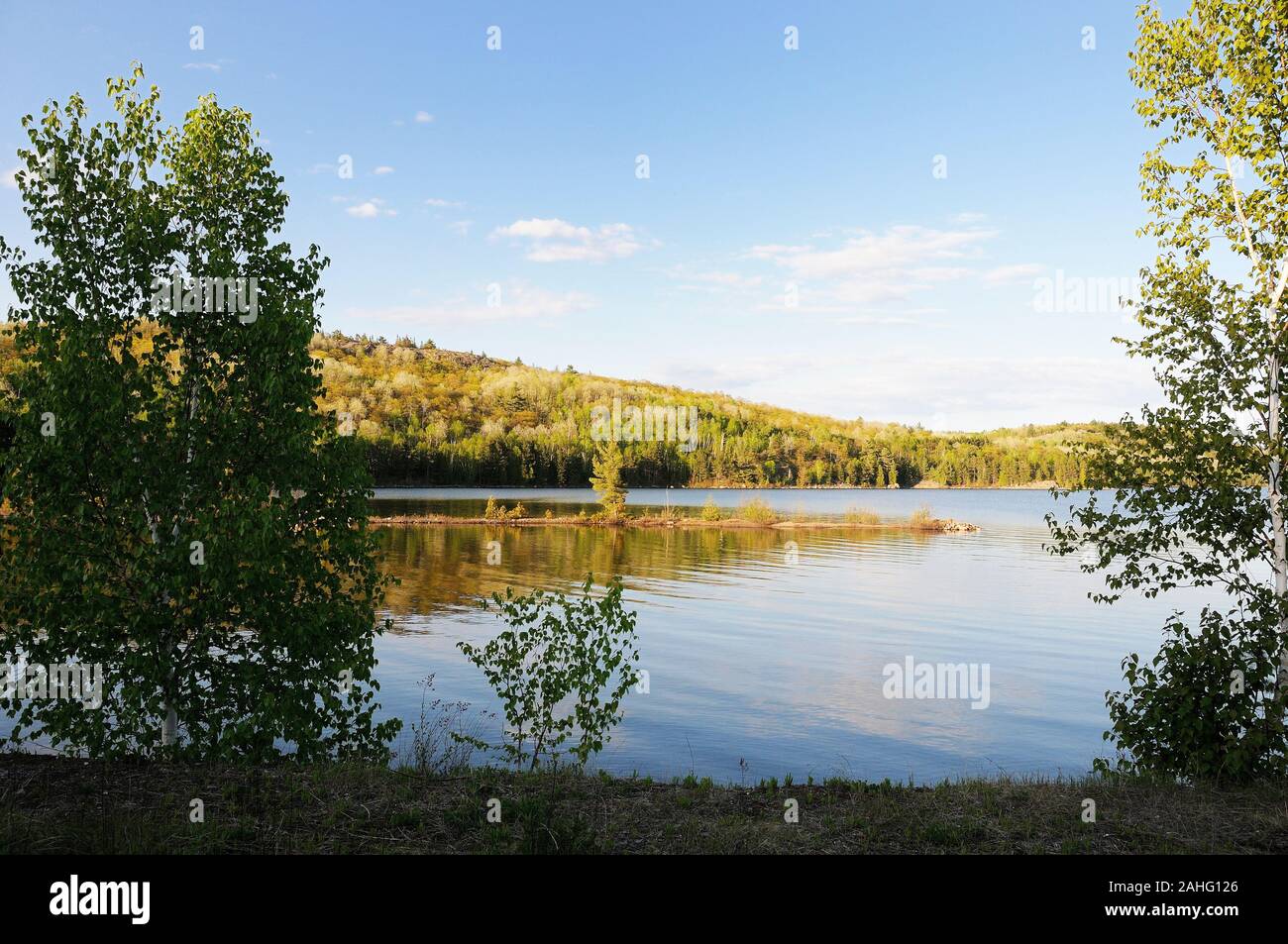Beautiful scenery landscape of summer season showing bleu sky, buffy clouds, water, trees with a tranquility feeling. Stock Photo