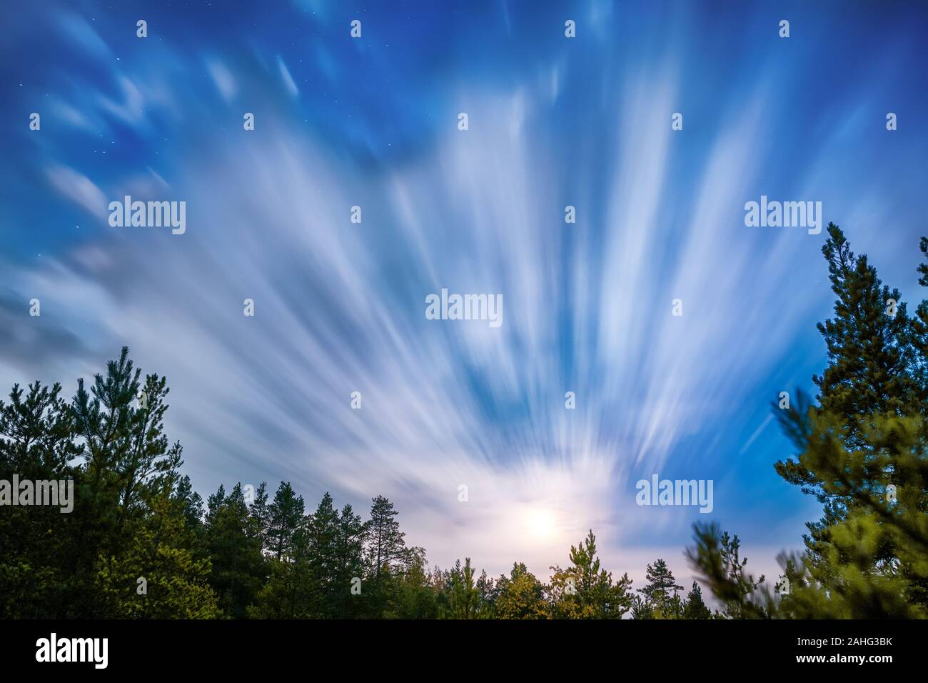 Moving clouds over night forest. Long exposure hdr image Stock Photo