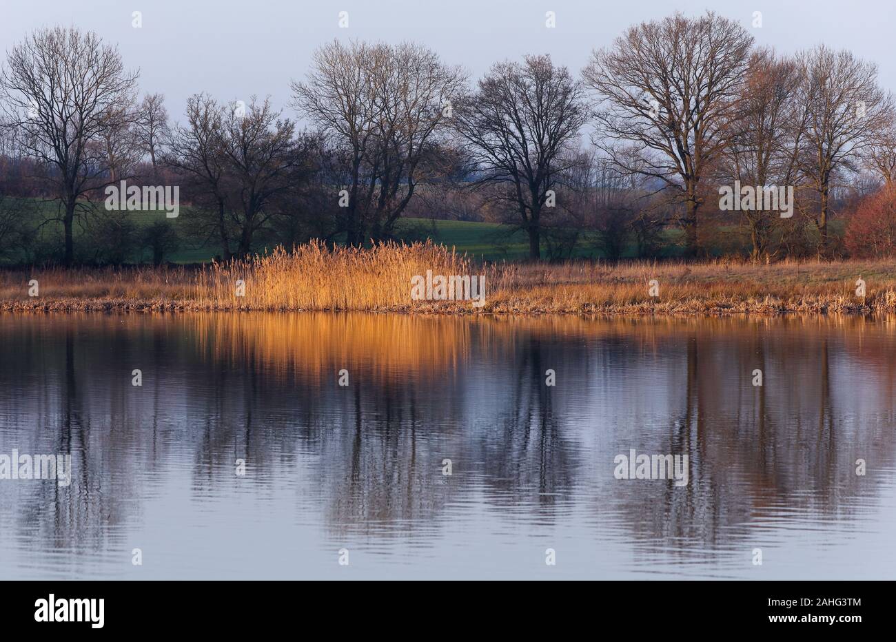 Reed structures hi-res stock photography and images - Alamy