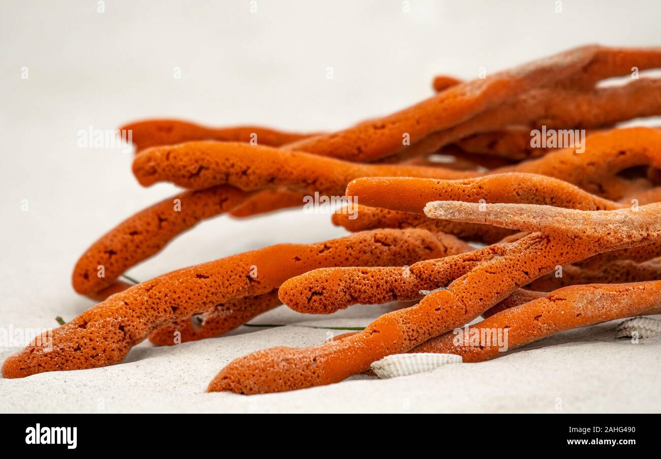 Red lobes hires stock photography and images Alamy