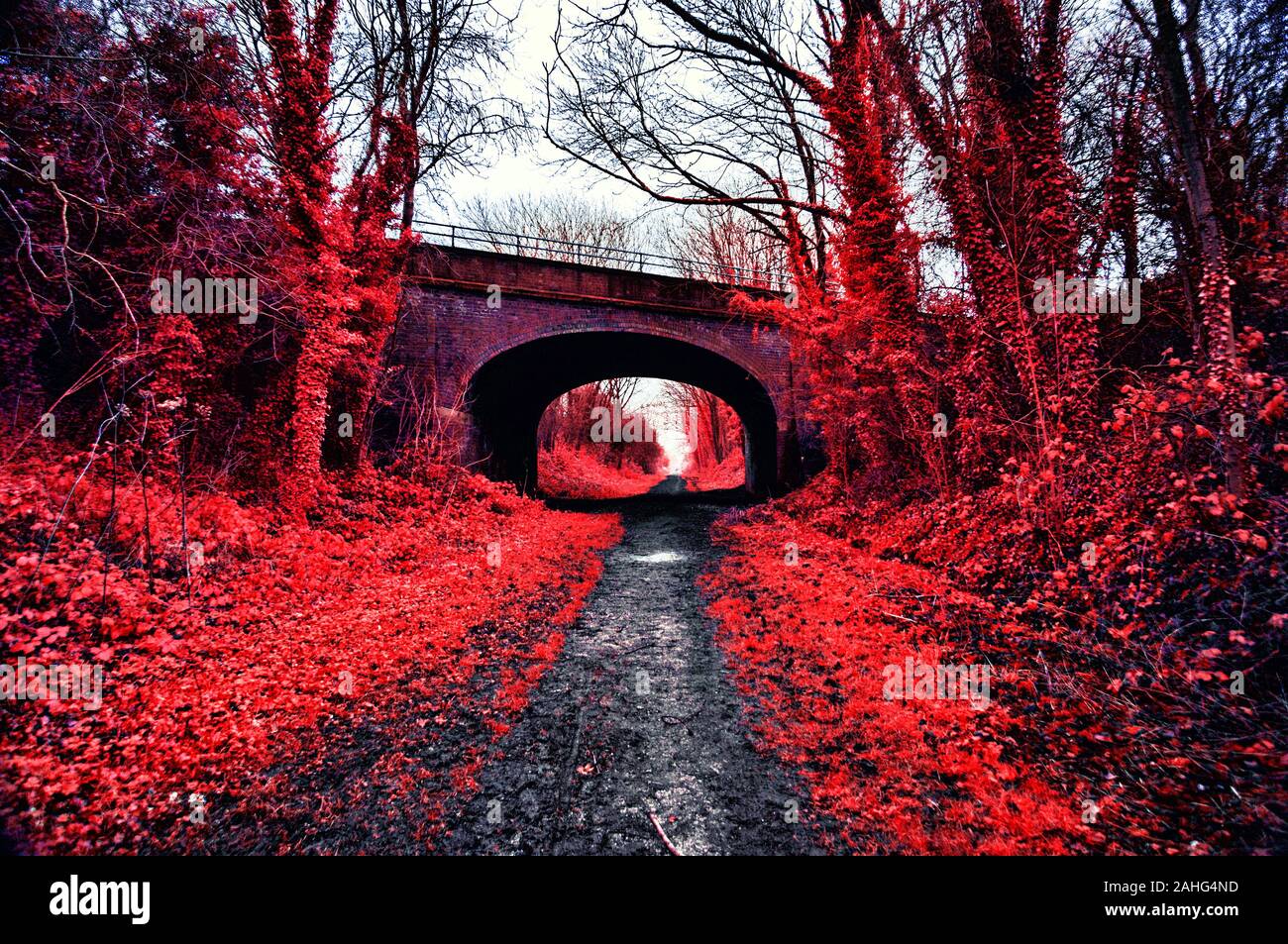 Road over Rail Bridge, Disused Railway Line near Leconfield, Beverley