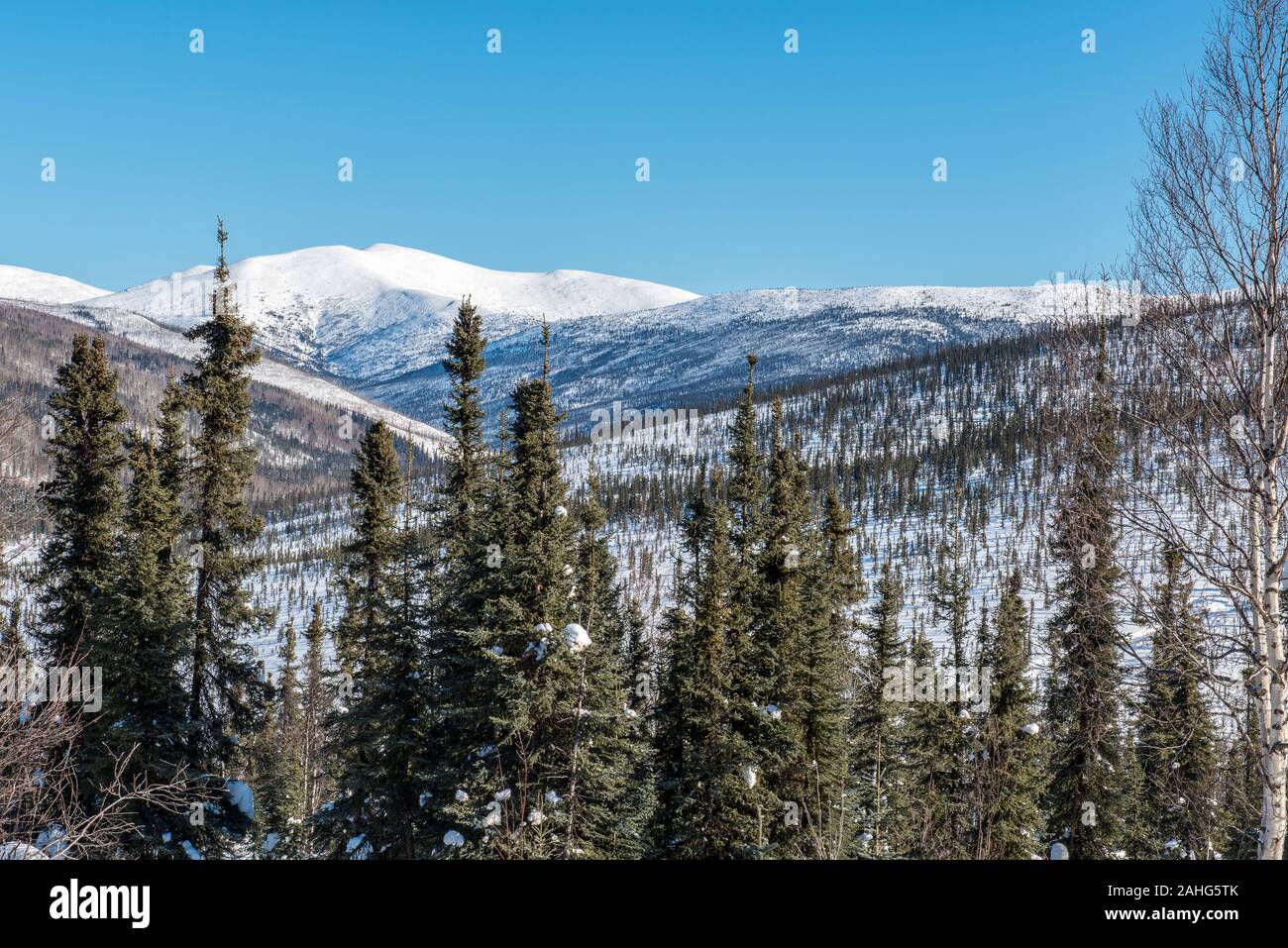 Winter landscape view of forest and mountains near Fairbanks, Alaska Stock Photo