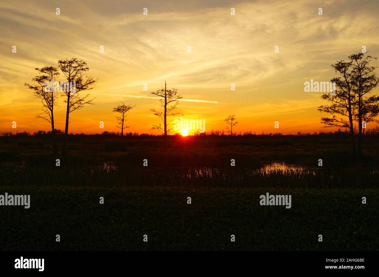 landscape of a swamp sunset in the wetlands Stock Photo