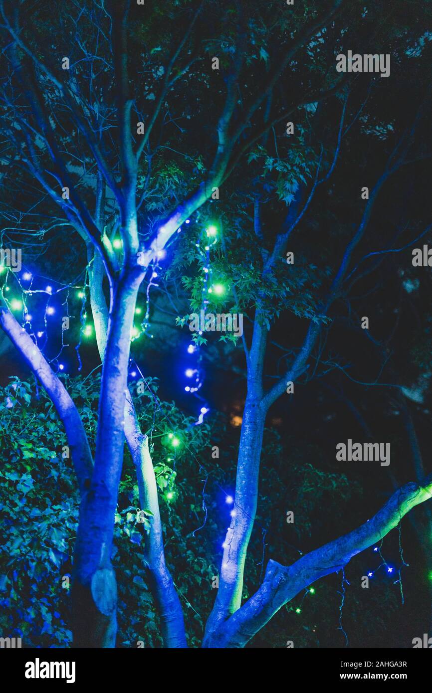 christmas fairy lights