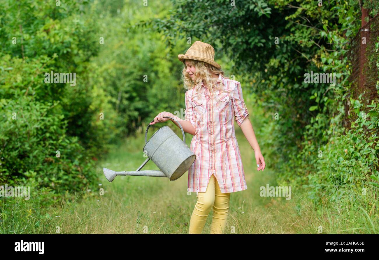Watering tools. Measure soil water content temperature and salinity