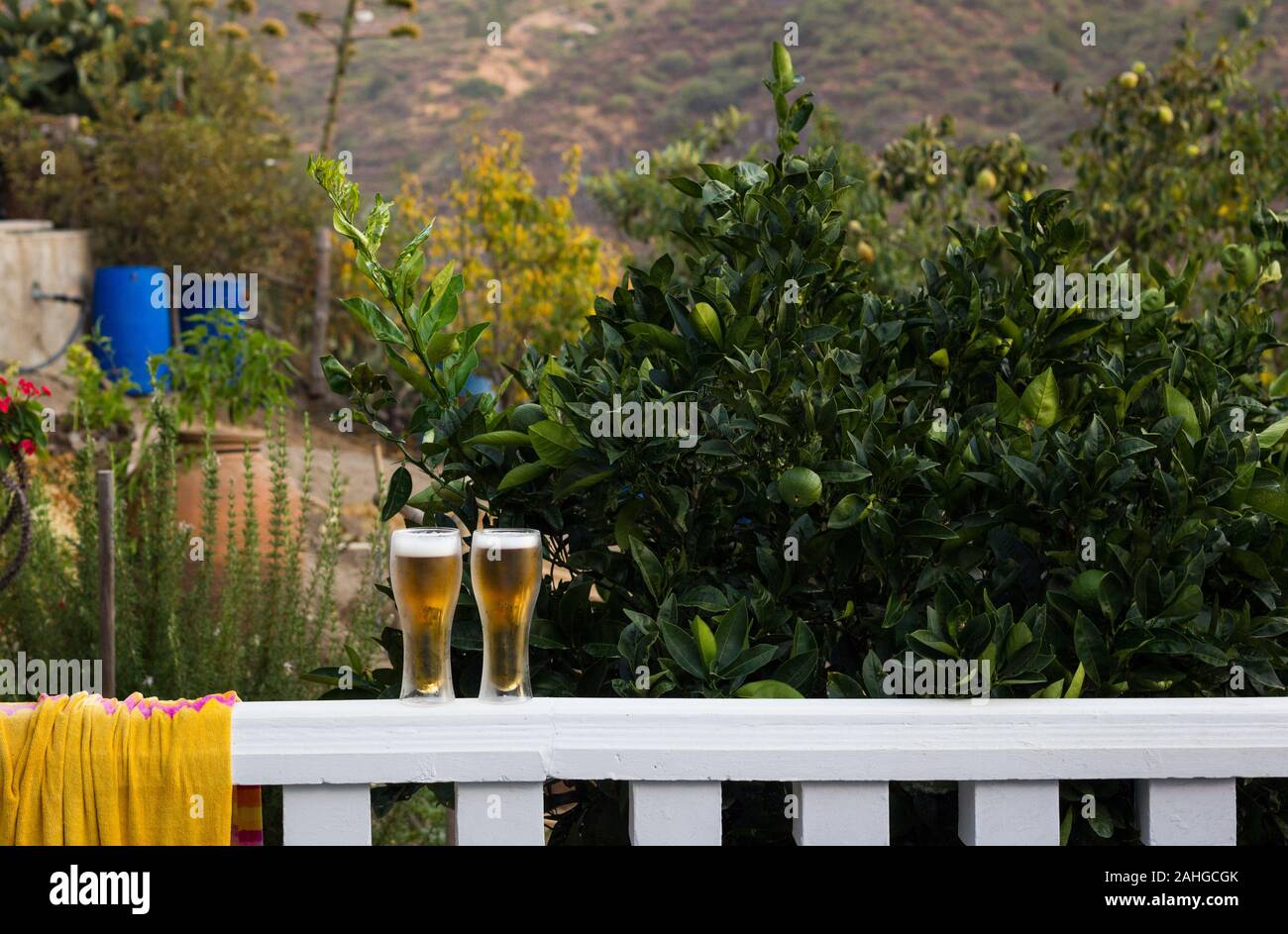 Two pints of beer on terrace white railing. Alcoholic drinks on nature ...