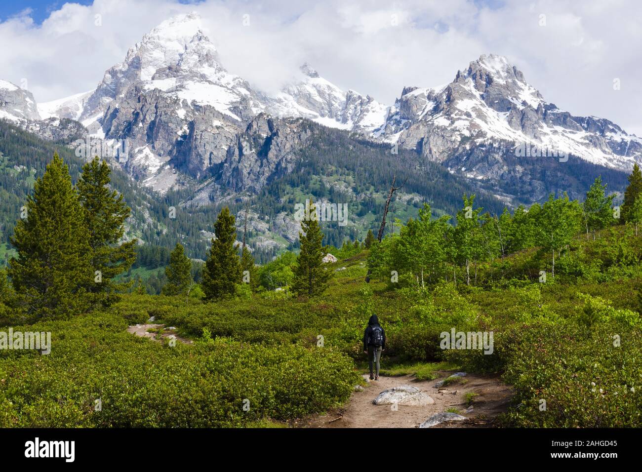 Hiker on Taggart Lake trail, Grand Teton National Park, Wyoming, United States Stock Photo