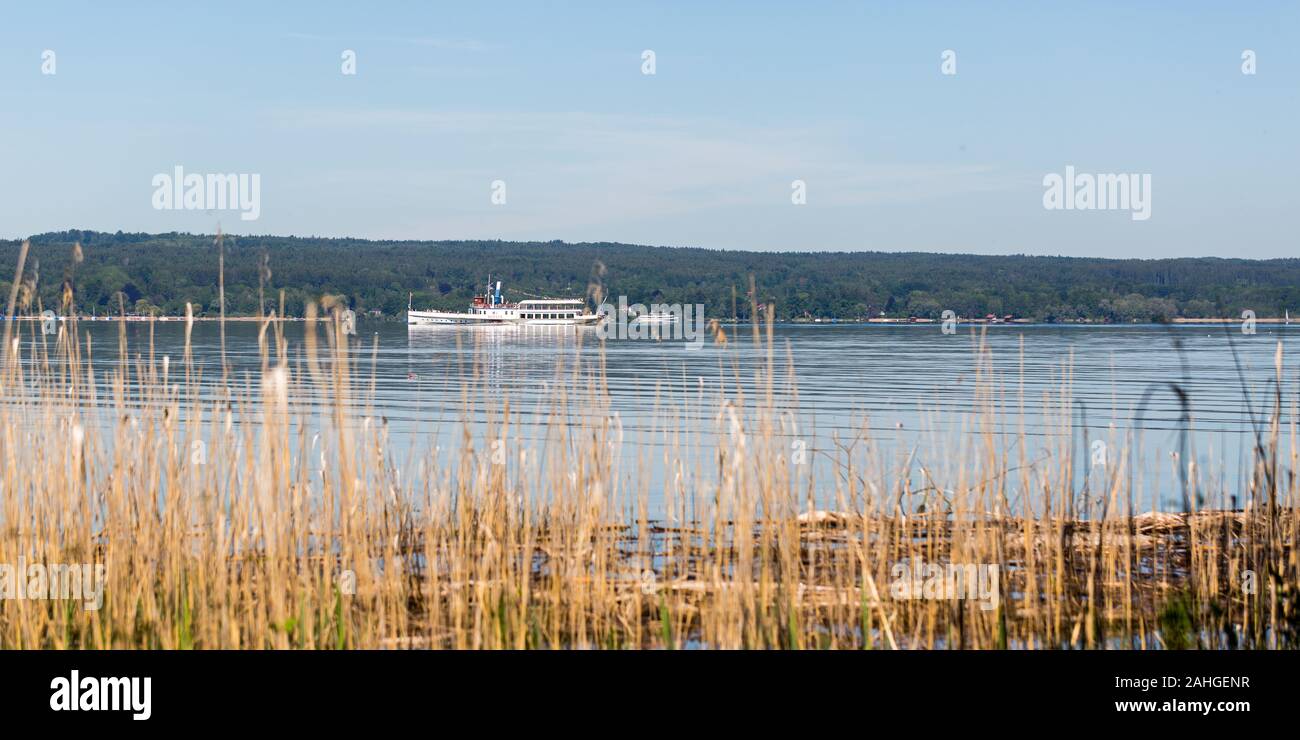 Panorama of Lake Ammersee with paddle steamer / ship 'Diessen'. Yellow reed in the foreground. The area around Lake Ammersee attracts many tourists. Stock Photo