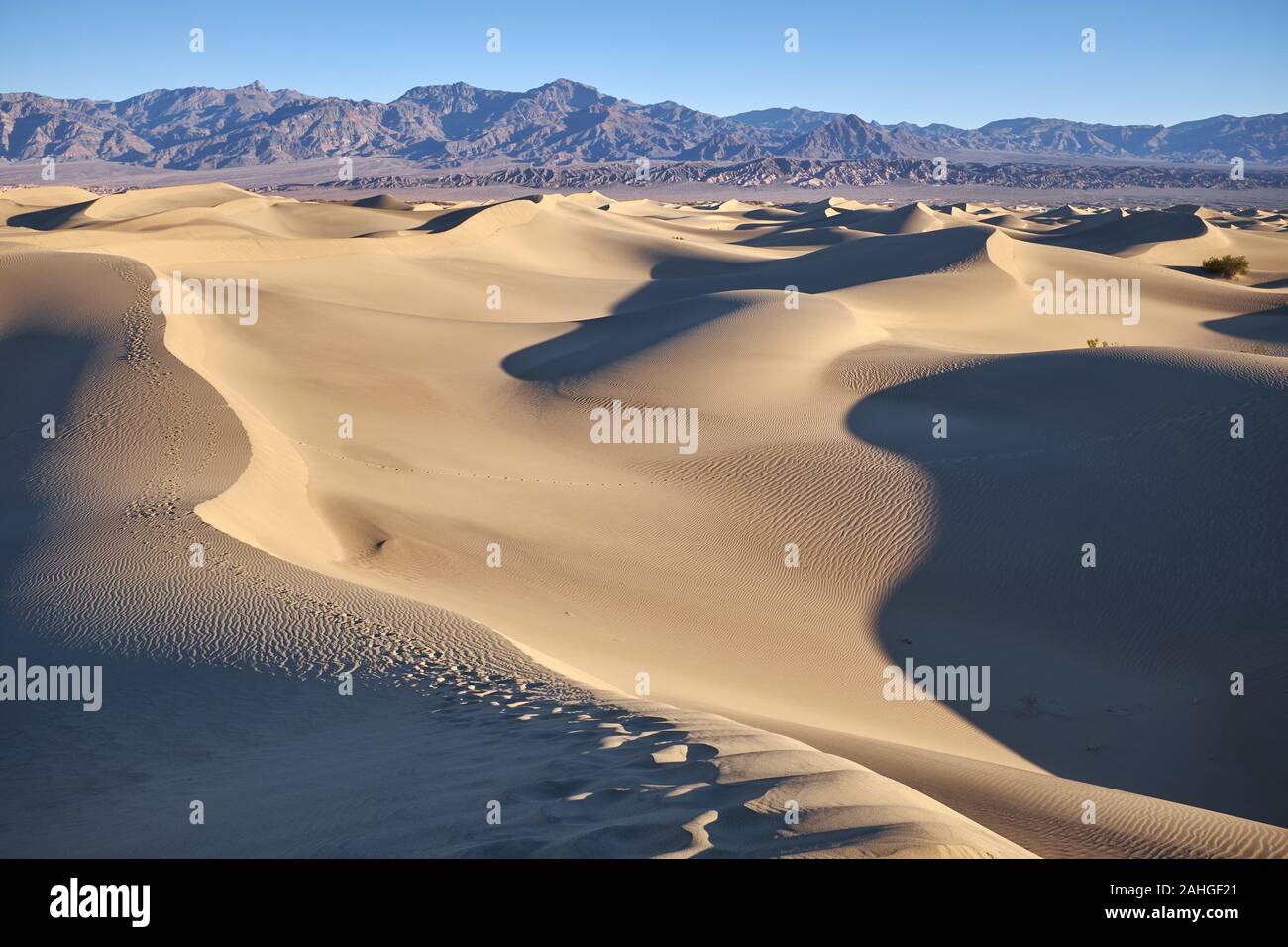 Mesquite Flat Sand Dunes, Death Valley, California, USA Stock Photo