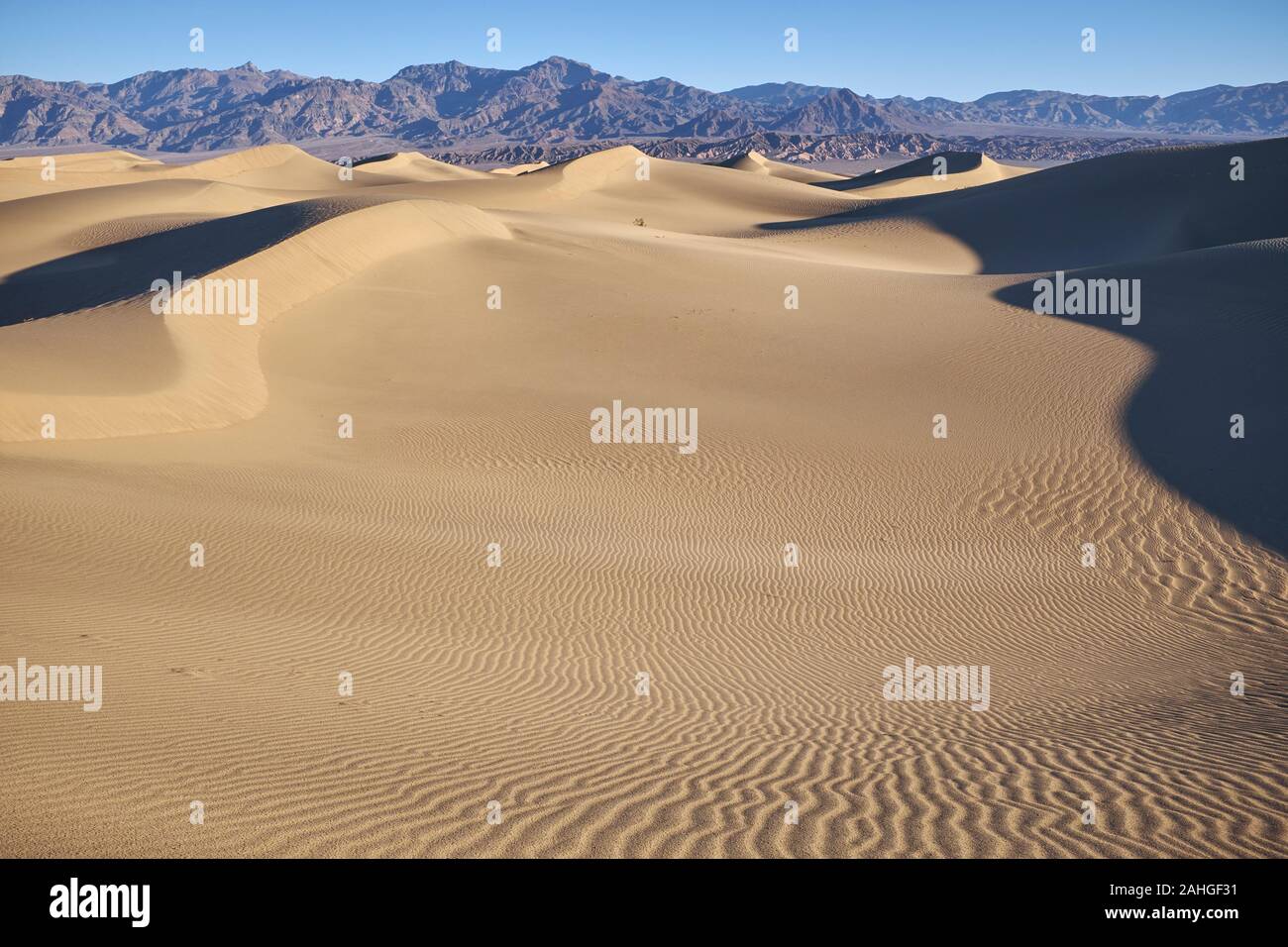 Mesquite Flat Sand Dunes, Death Valley, California, USA Stock Photo