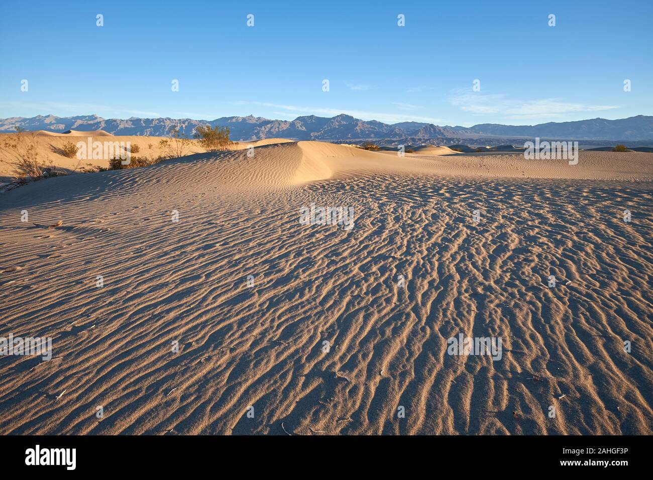 Mesquite Flat Sand Dunes, Death Valley, California, USA Stock Photo