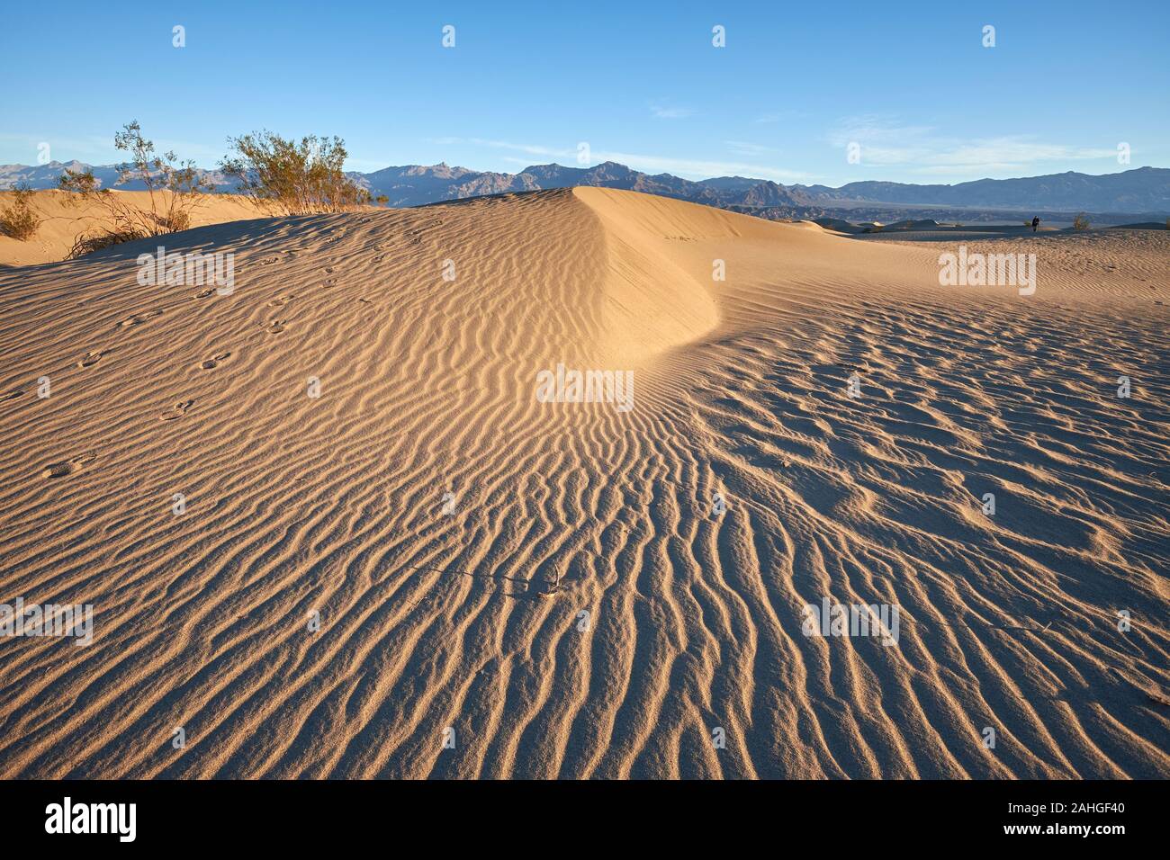 Mesquite Flat Sand Dunes, Death Valley, California, USA Stock Photo