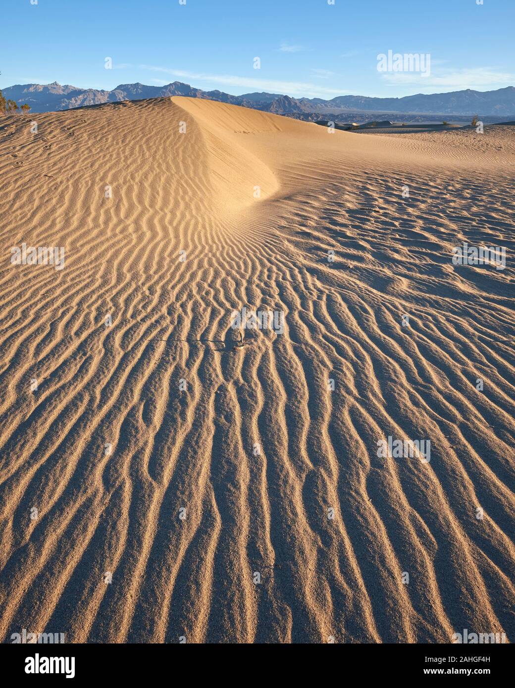 Mesquite Flat Sand Dunes, Death Valley, California, USA Stock Photo