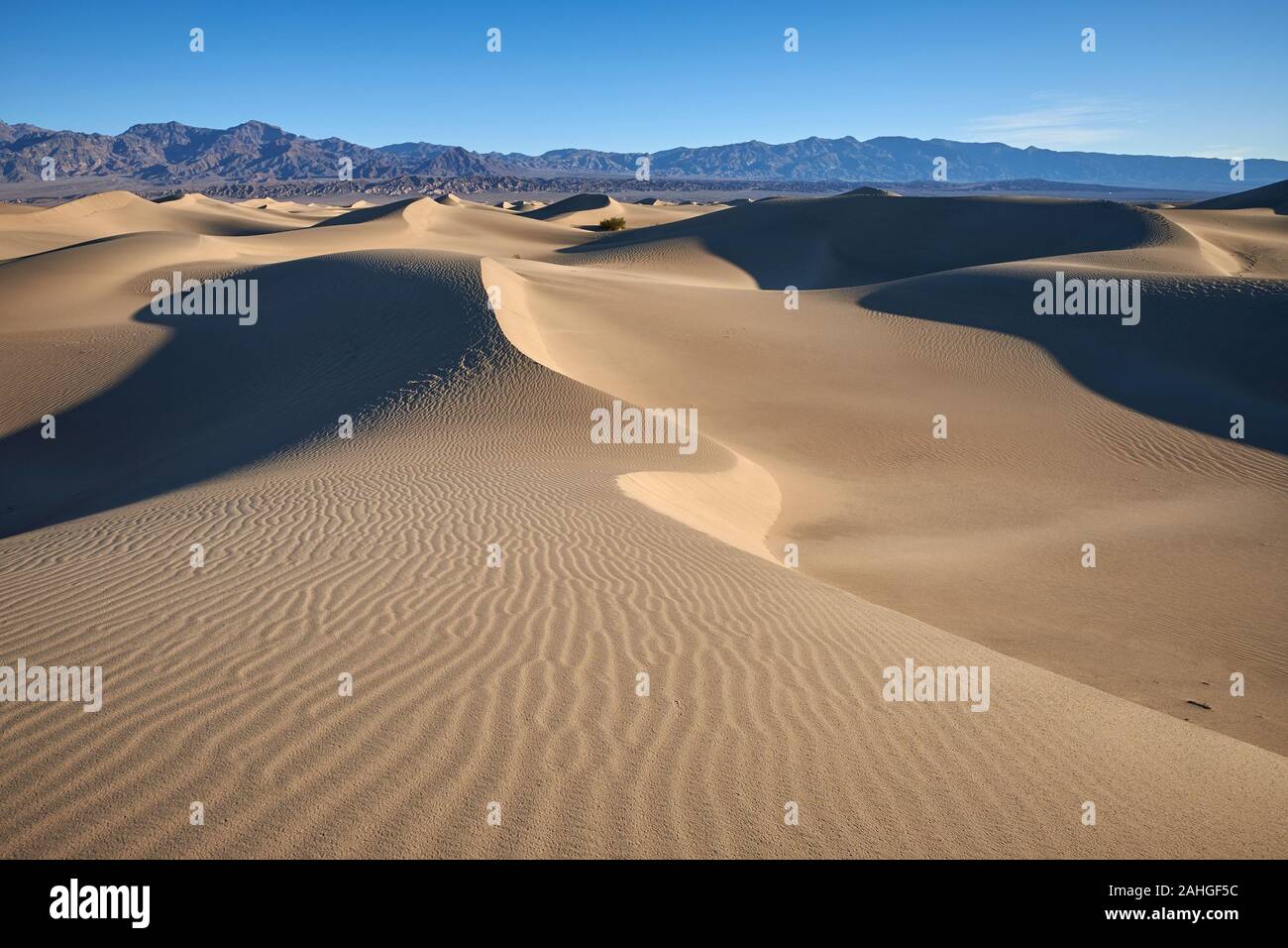 Mesquite Flat Sand Dunes, Death Valley, California, USA Stock Photo