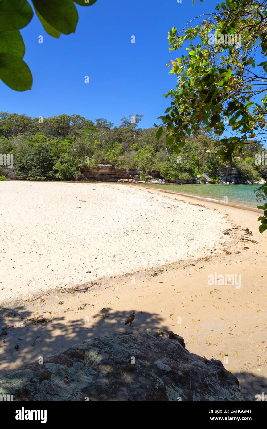 Sydney Beach - secluded and empty Collins beach, near Manly, Sydney Australia Stock Photo