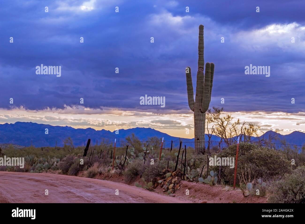 Rugged Forest Road in the Four Peaks Wilderness Recreation Area Arizona 