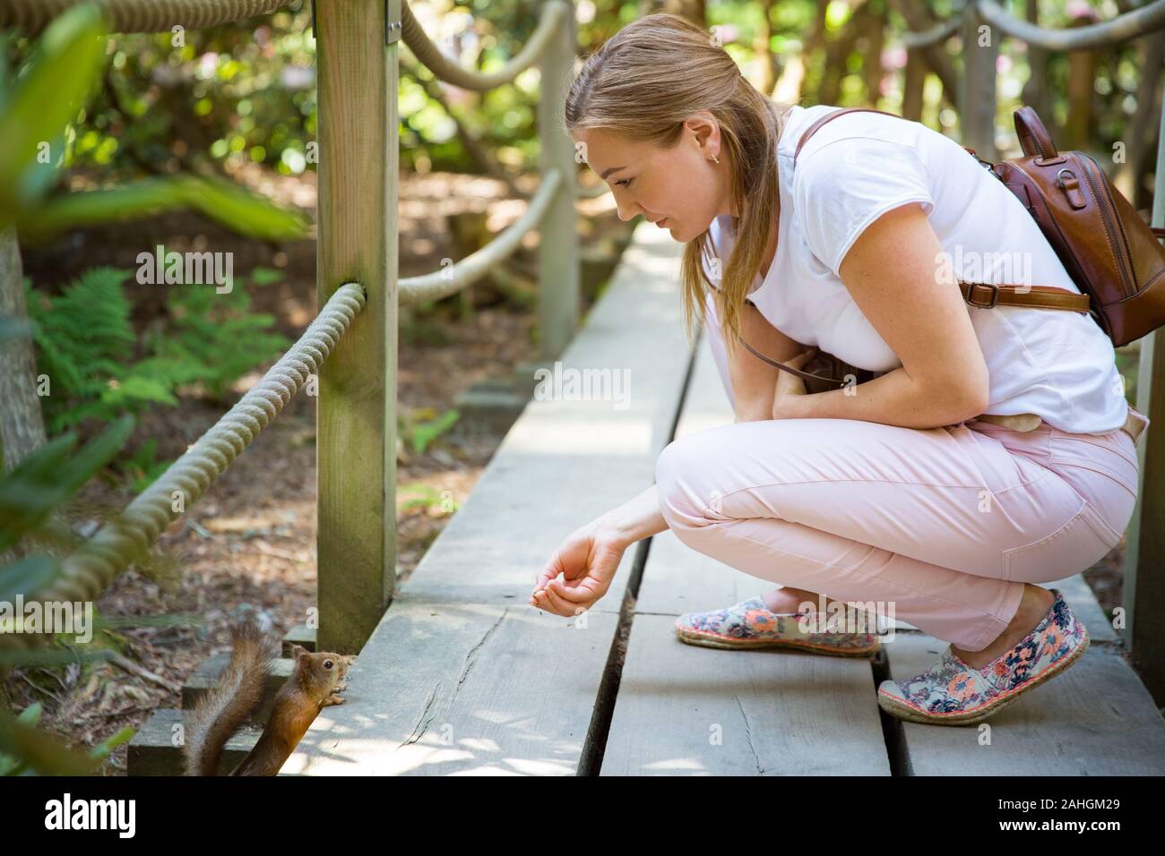 Beautiful woman travel in tropic forest, walking along wooden path, feeding a squirrel. Tourist with backpack. Stock Photo