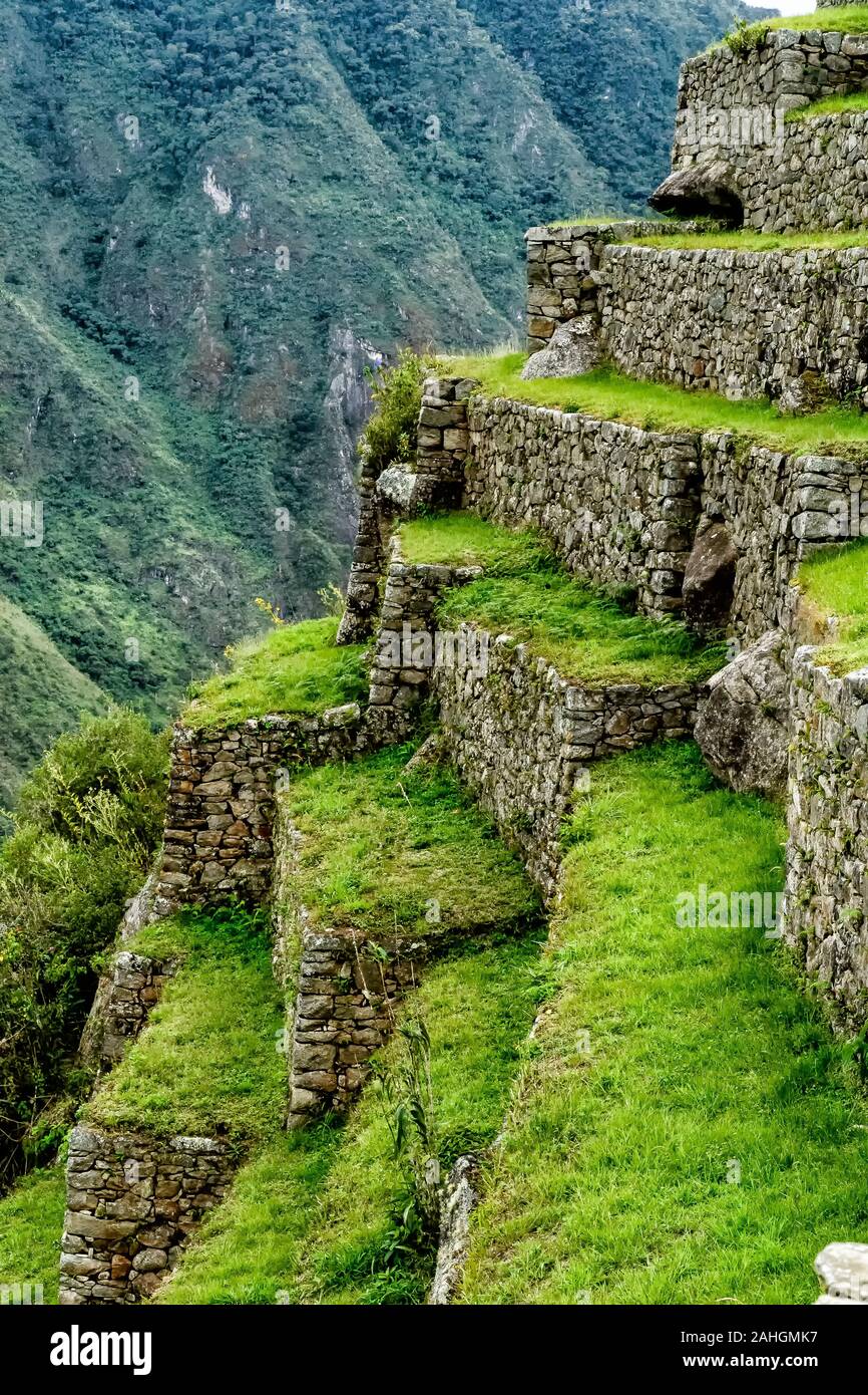 There are 2 levels of terraces or andenes in Machu Picchu: The Upper level of 45 wider and larger terraces and the lower level of 80 terraces Stock Photo
