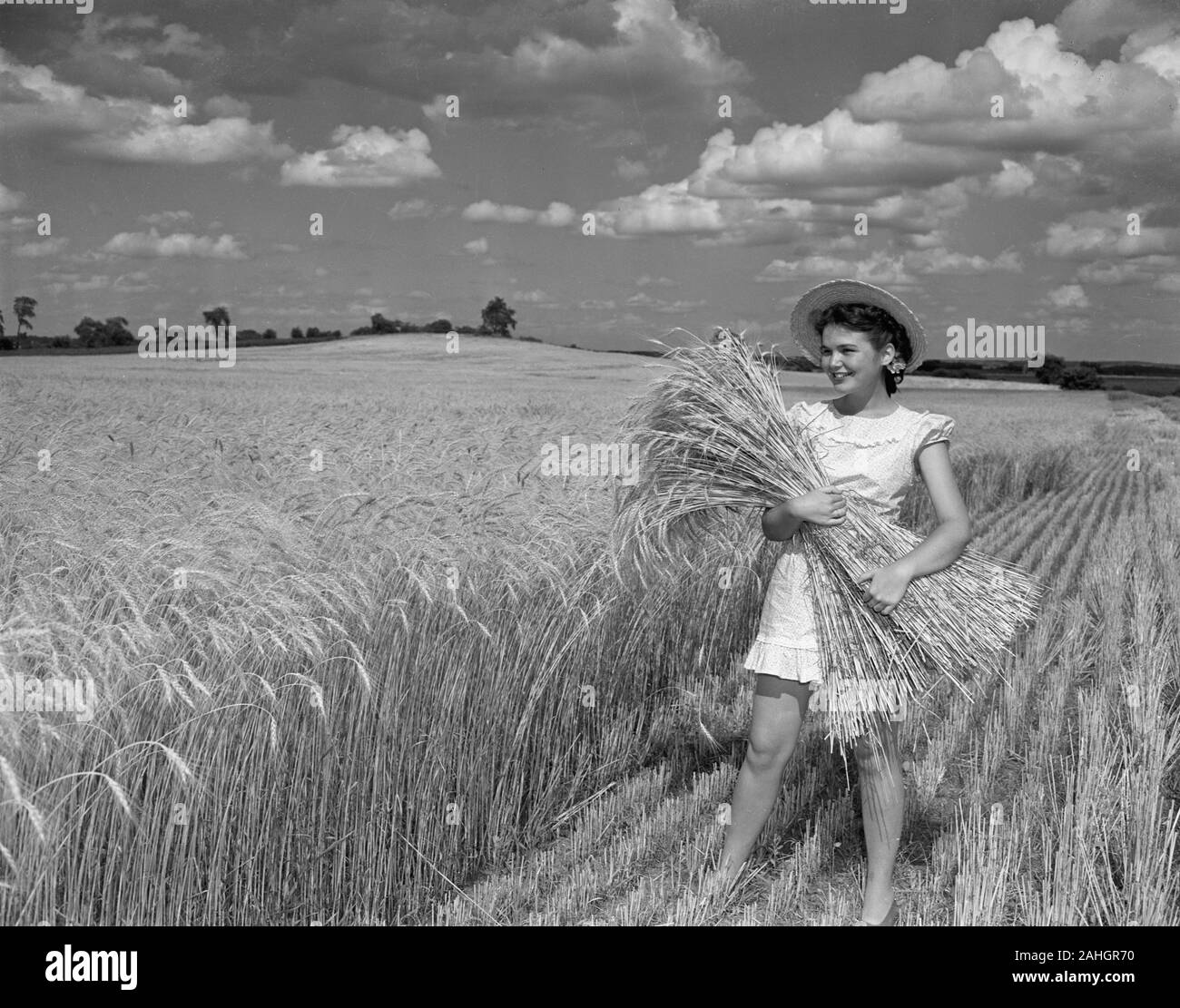 Farm girl holding wheat 1946 Stock Photo