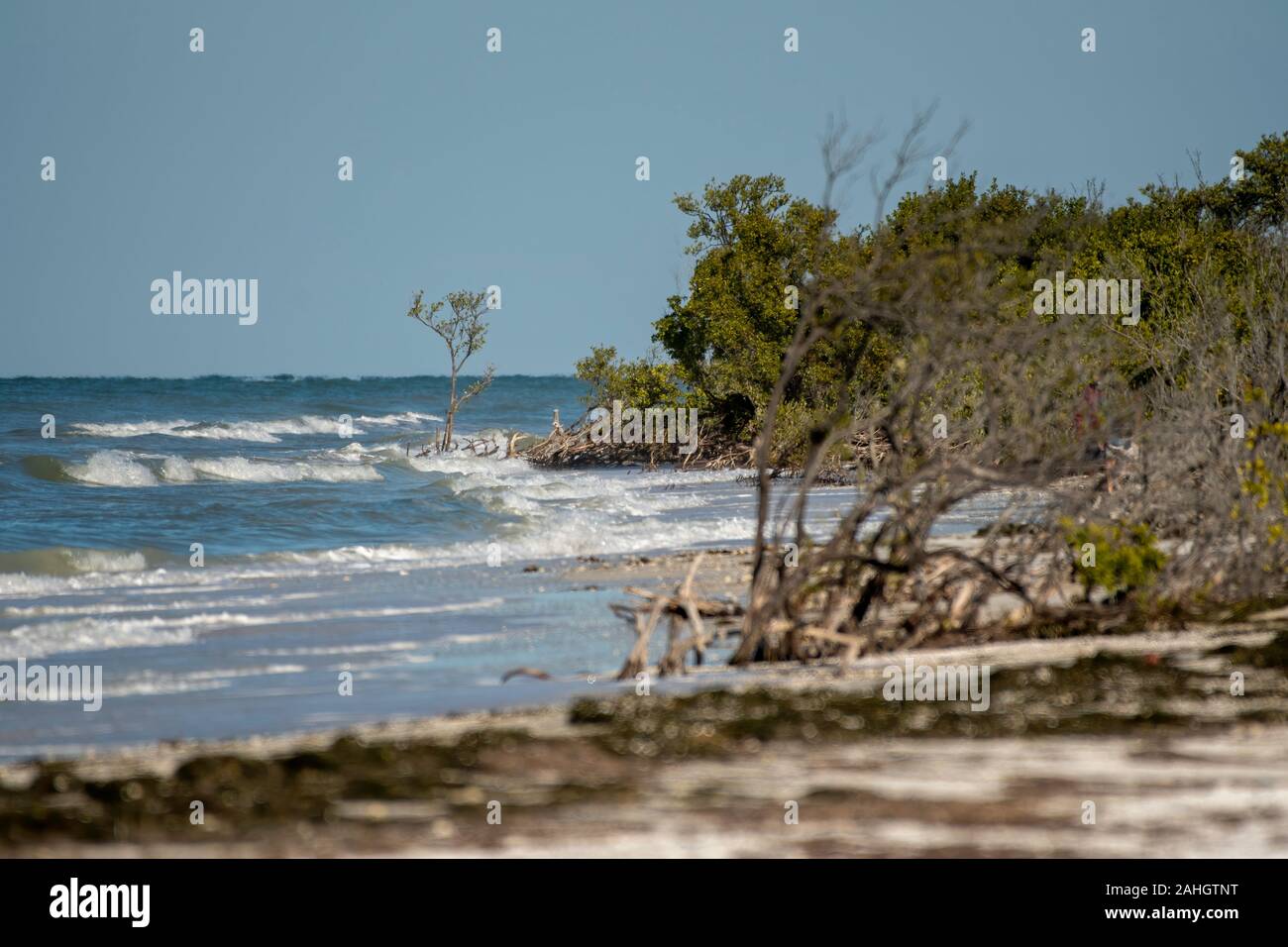 View of an island beach on the Gulf of Mexico in Florida Stock Photo