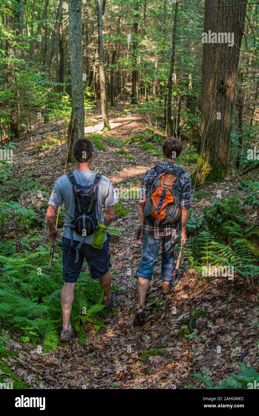 Two men hiking in the woods Stock Photo