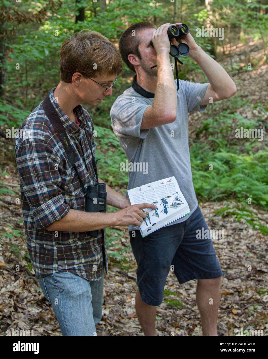 Two young men birdwatching in the woods Stock Photo