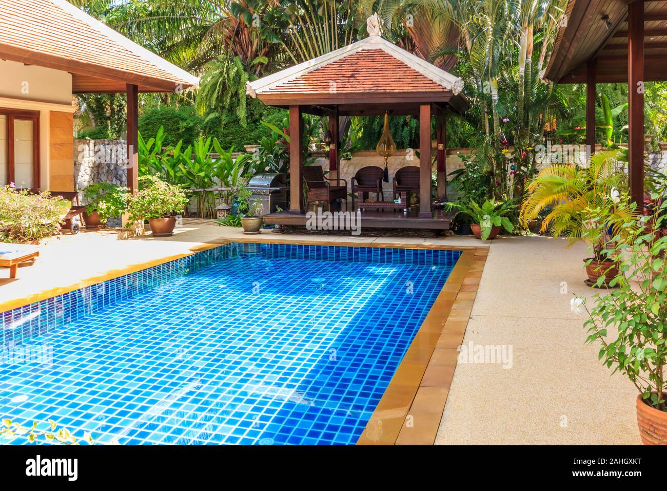 Tropical plants in swimming pool hi-res stock photography and images ...