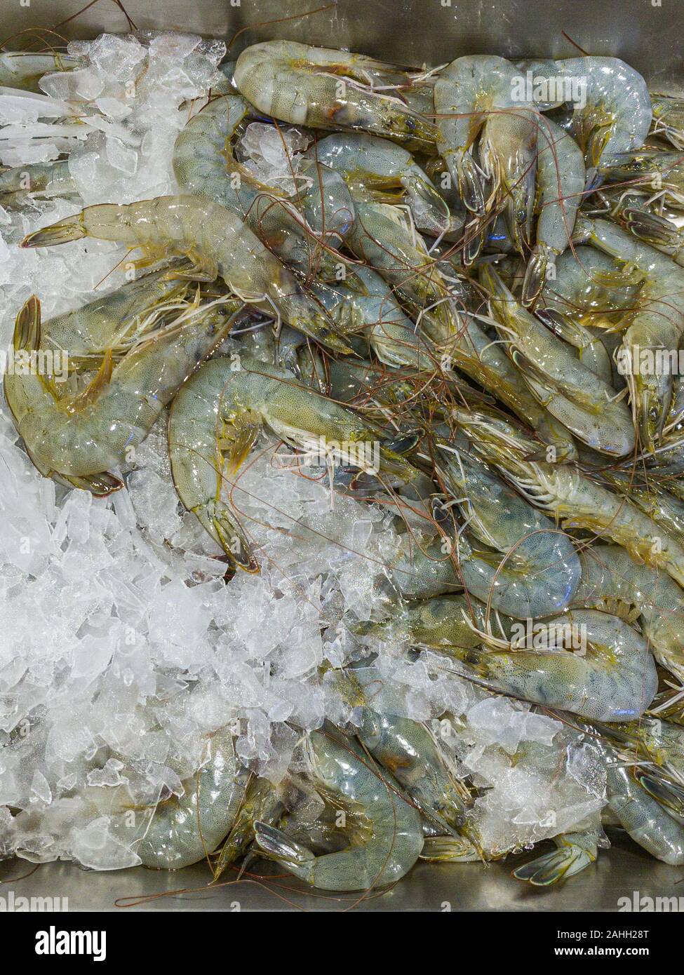 Fresh raw shrimp for sale at seafood stall Stock Photo Alamy