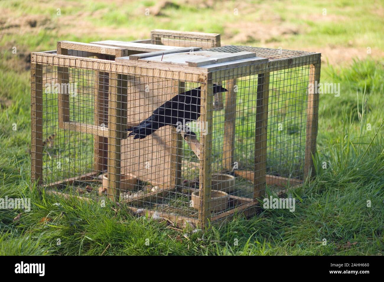 Larsen trap hi-res stock photography and images - Alamy