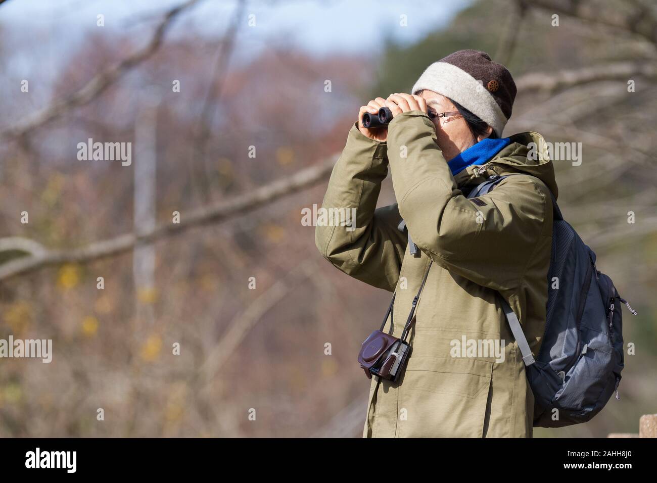 An older Japanese woman birdwatching in Izumi no Mori forest park in Tsuruma, Kanagawa, Japan. Stock Photo