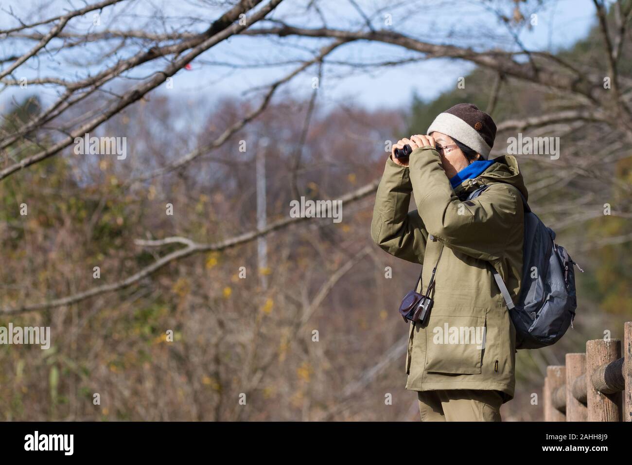 An older Japanese woman birdwatching in Izumi no Mori forest park in Tsuruma, Kanagawa, Japan. Stock Photo