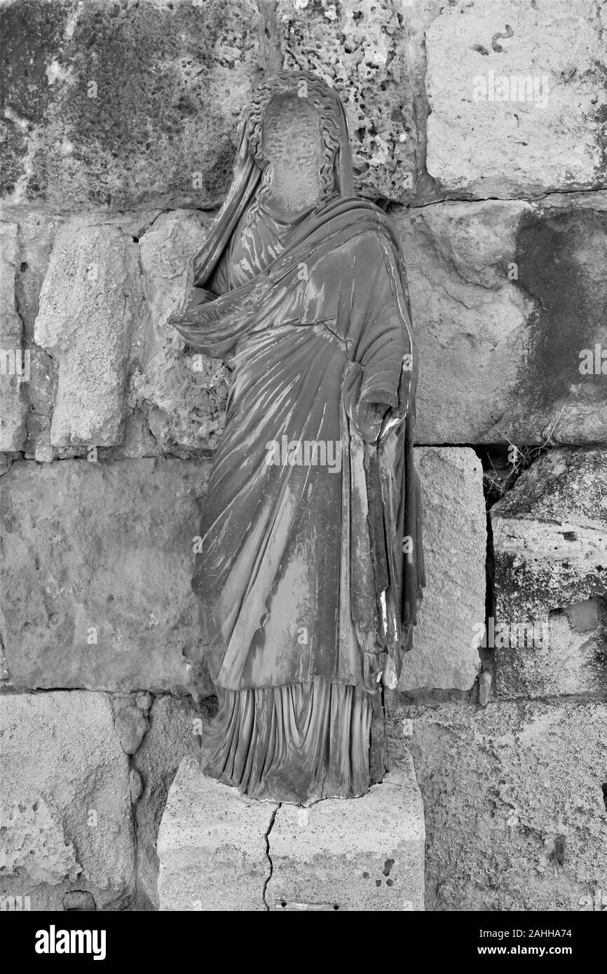 Salamis in black and white Stock Photo Alamy