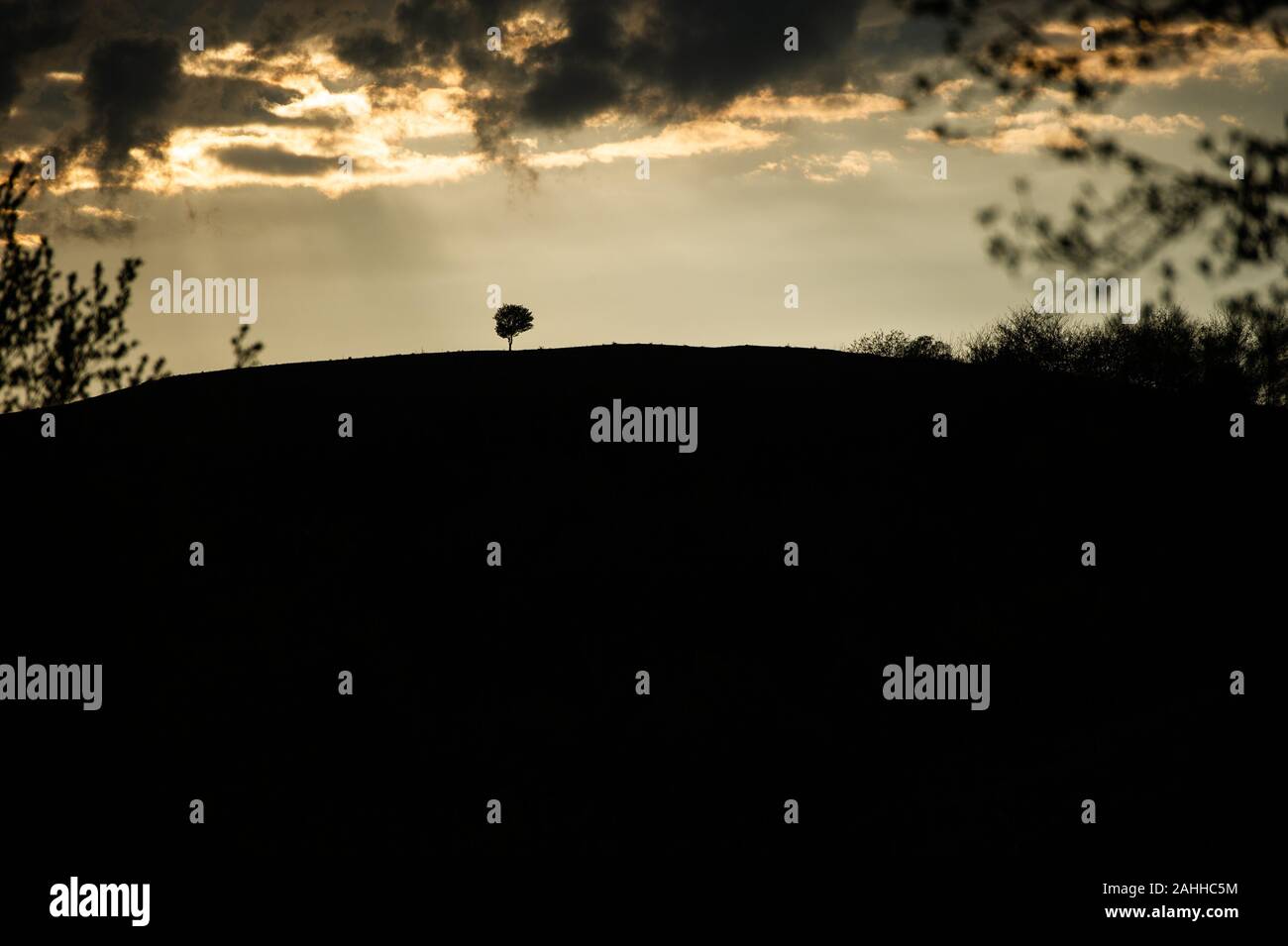 Silhouette of tree on a hill hi-res stock photography and images - Alamy