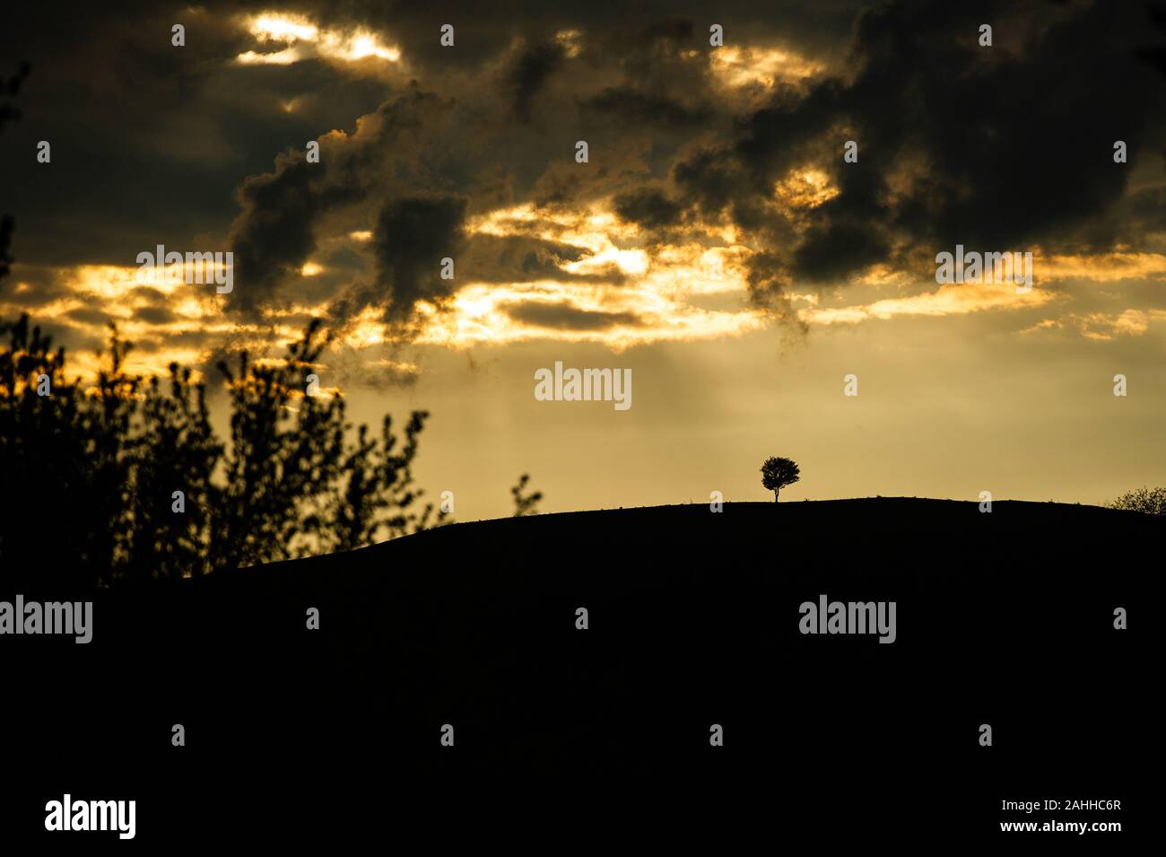 Tree silhouette hill hi-res stock photography and images - Alamy
