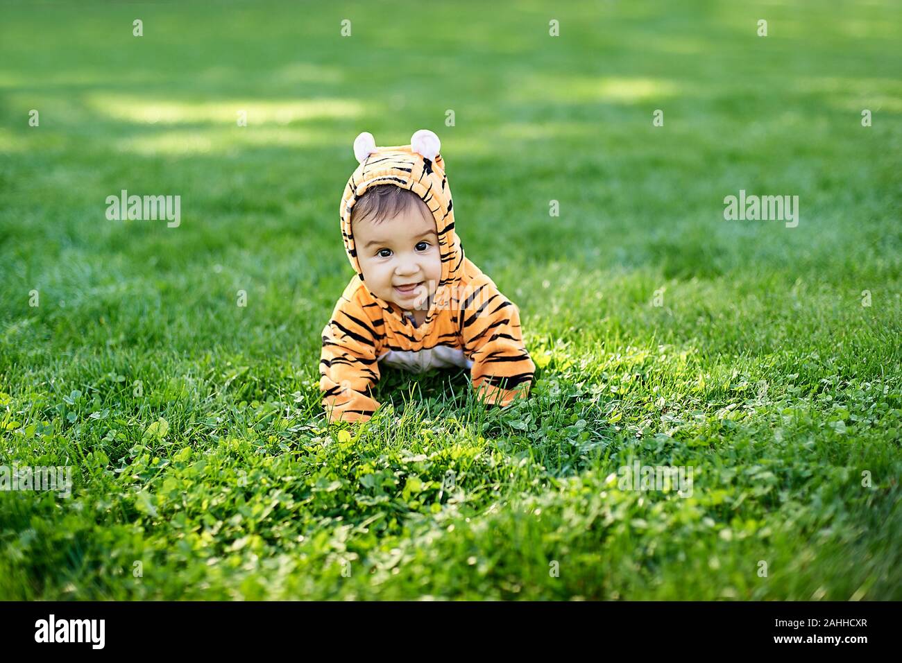 baby in tiger costume