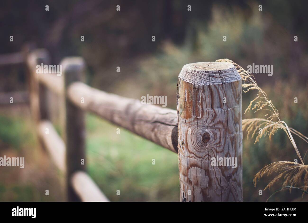 Wooden Fence in the Wildernis Stock Photo