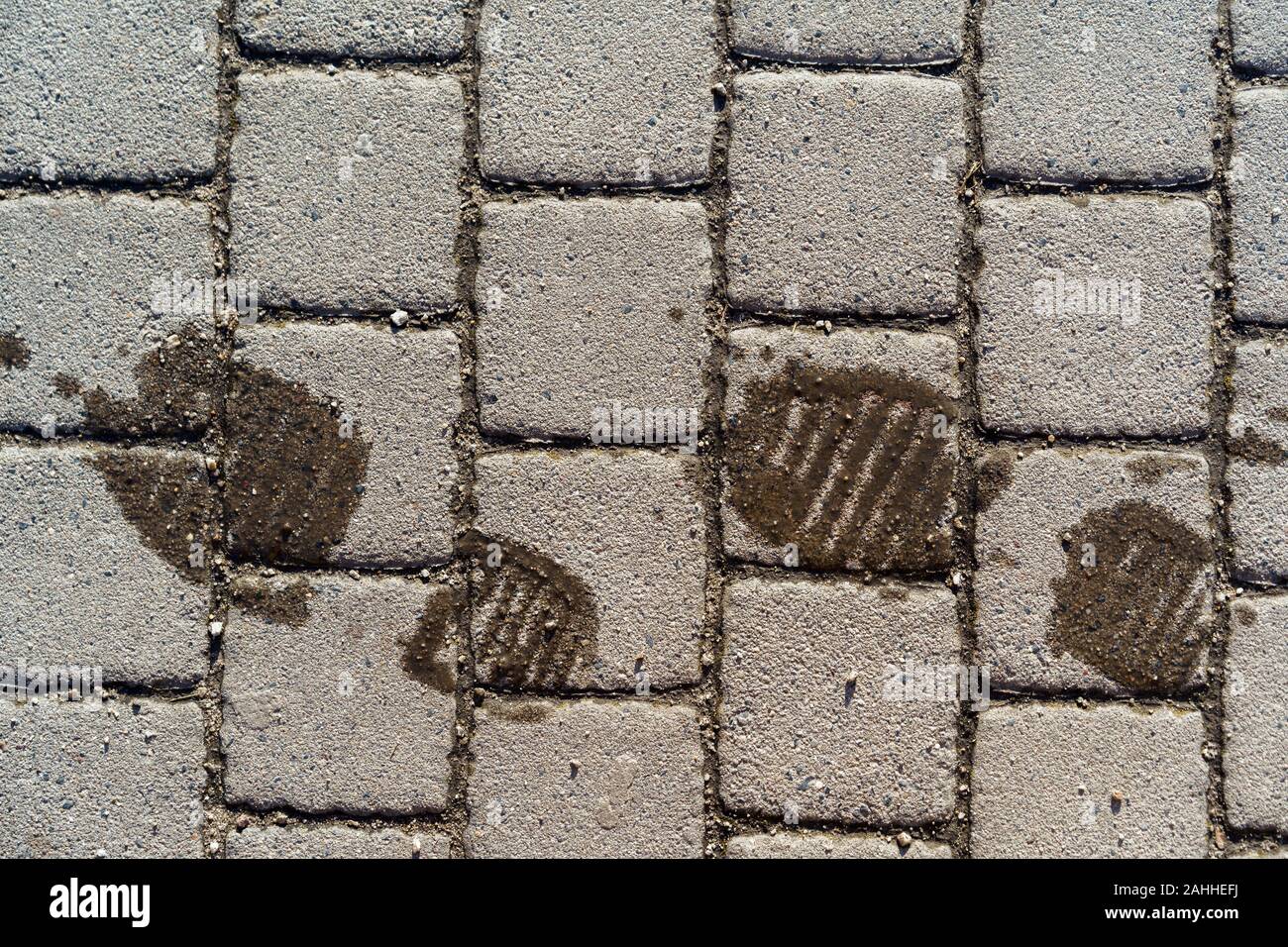 Wet footprints from shoes on the dry surface of paving slabs Stock