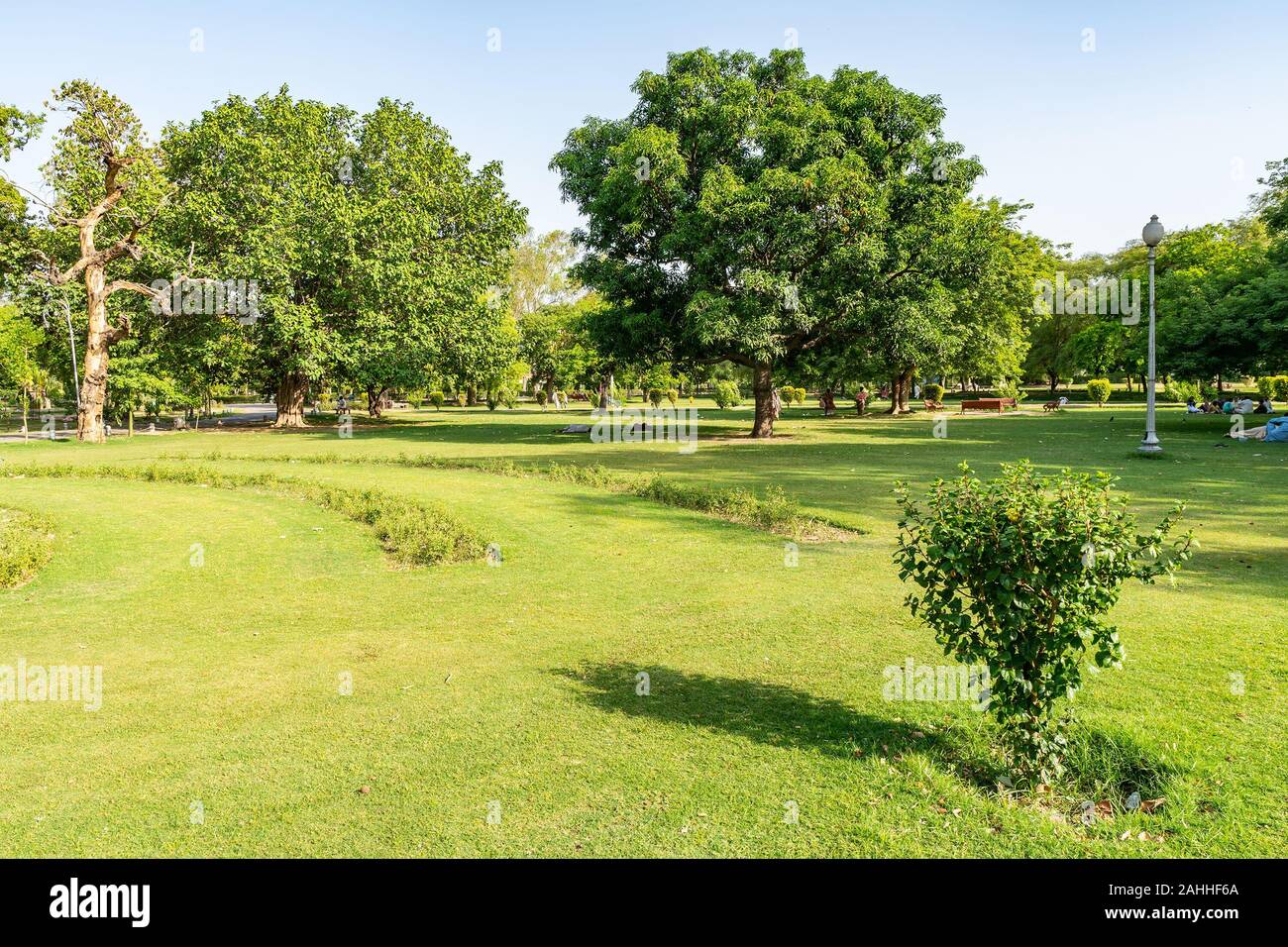 Lahore Bagh-e-Jinnah Park Picturesque View of Grass and Trees on a Sunny Blue Sky Day Stock Photo