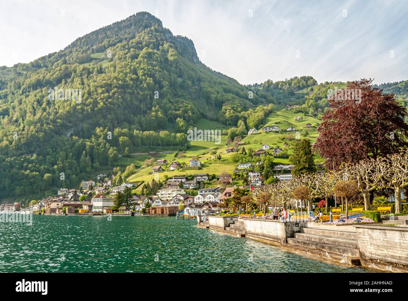 Spring at the lakeside promenade of Gersau, Lake Lucerne, Switzerland Stock Photo