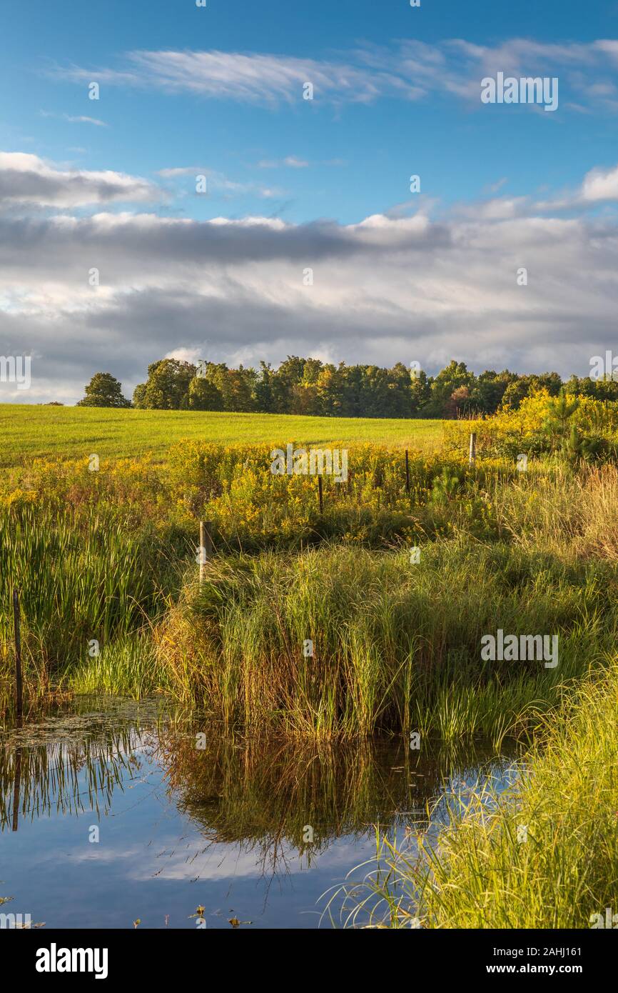 A farmer's field on a pretty autumn day in northern Wisconsin Stock