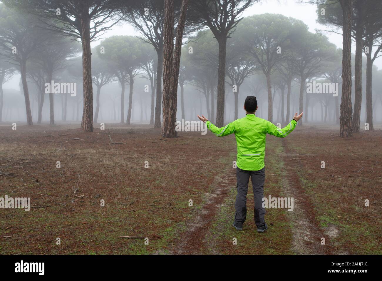 A man is lost and disoriented in the middle of a forest with fog Stock Photo